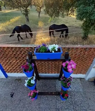 Holiday home Vivienda Rural Anil *
